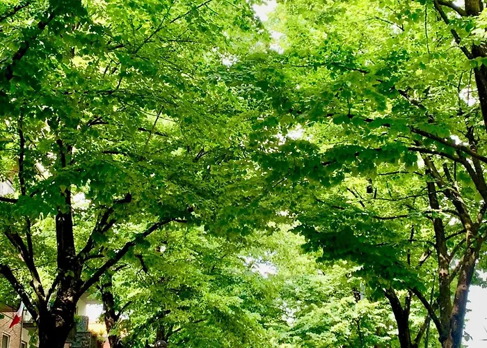 Apartment Residenza Santachiara *